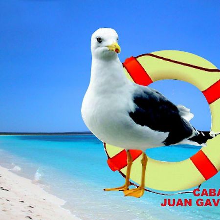 Cabanas Juan Gaviota Пунта де Чорос Екстериор снимка