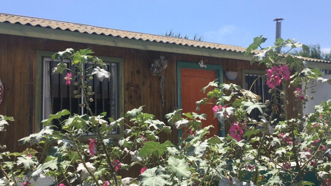 Cabanas Juan Gaviota Пунта де Чорос Екстериор снимка