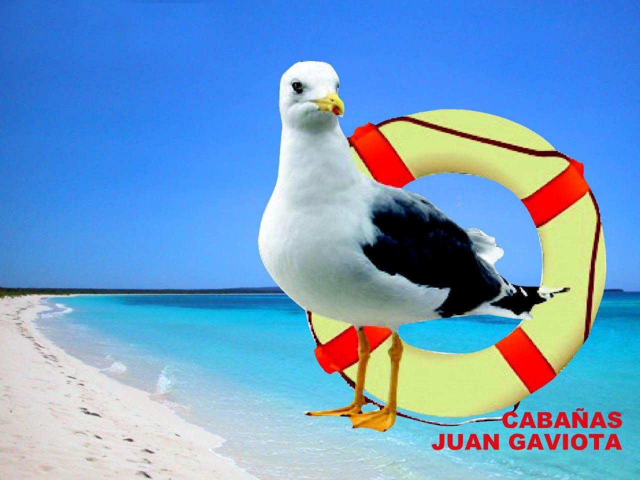 Cabanas Juan Gaviota Пунта де Чорос Екстериор снимка