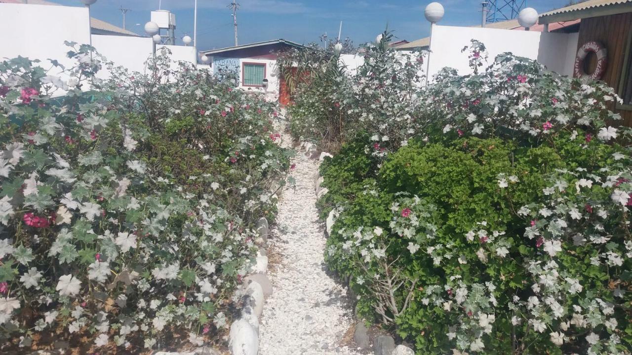 Cabanas Juan Gaviota Пунта де Чорос Екстериор снимка